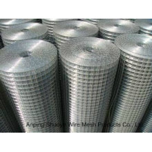 Galvanized Welded Wire Mesh-100′ in Roll